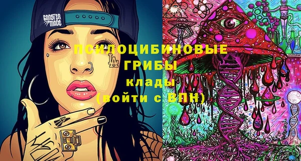 меф Белокуриха