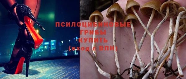меф Белокуриха