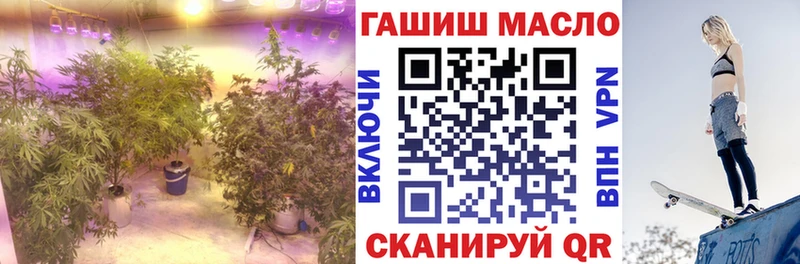 где продают   Красноармейск  Дистиллят ТГК концентрат 