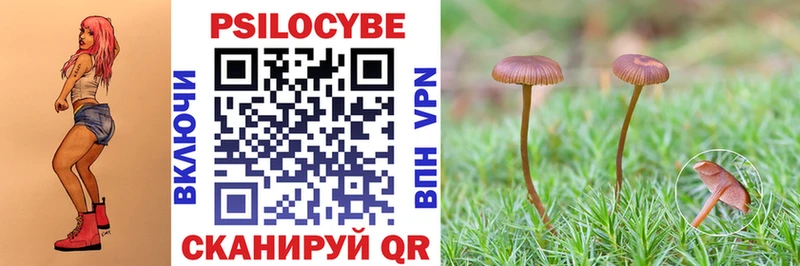 это клад  Красноармейск  Псилоцибиновые грибы Psilocybe  наркота 